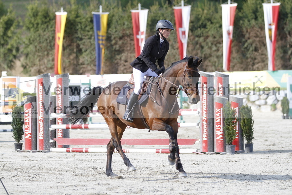 _MG_8177 | equestrian-live-com