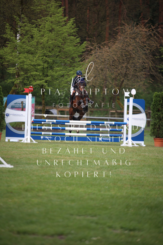 IMGT2941 | pl-fotografie