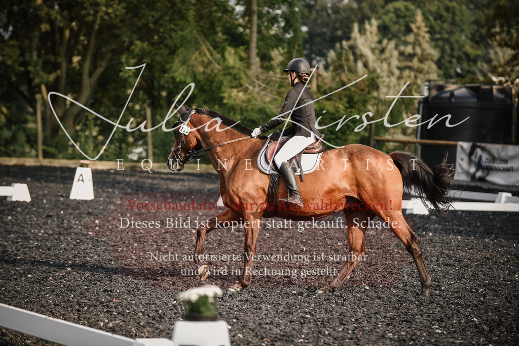 DSC_3477 | Pferde- und Turnierfotografie in Westsachsen. Pferdeportraits, Auftragszeichnungen und intuitive Kunst.