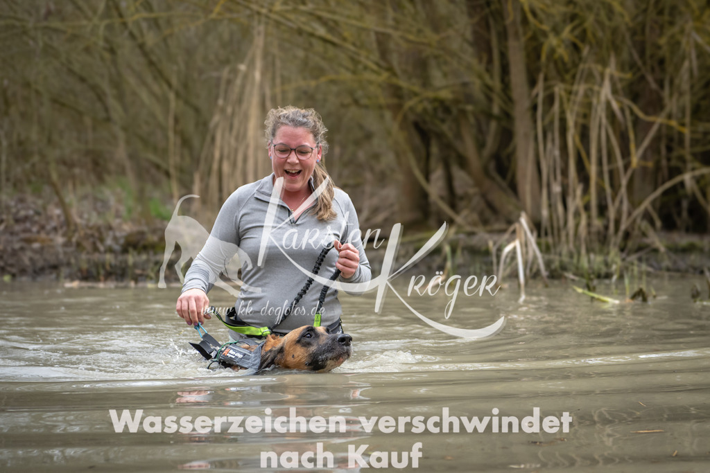 1456_ZZ91268 | kk-dogfotos