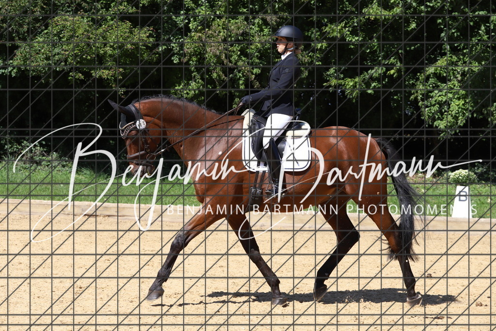 IMG_6572 | Benjamin Bartmann Photomoments