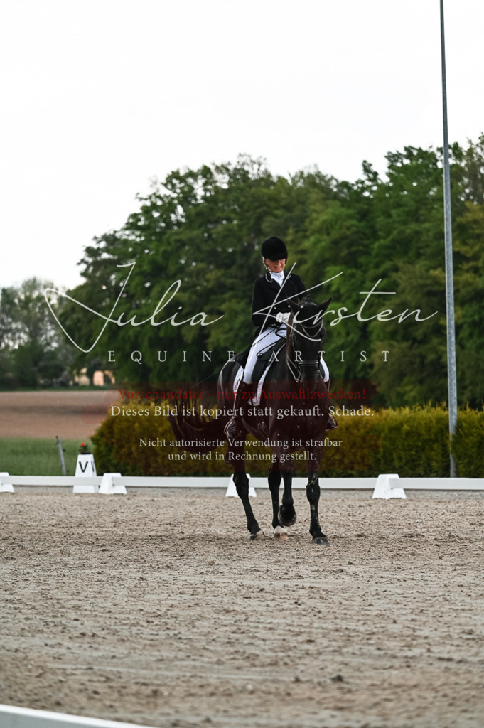 20230514_JK-Röhrsdorf-21-468 | Pferde- und Turnierfotografie in Westsachsen. Pferdeportraits, Auftragszeichnungen und intuitive Kunst.