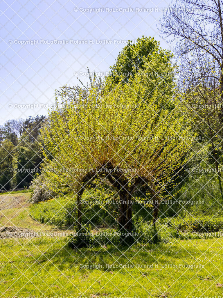 Im-Donautal-22 | IPTC Infos - Realisiert mit Pictrs.com