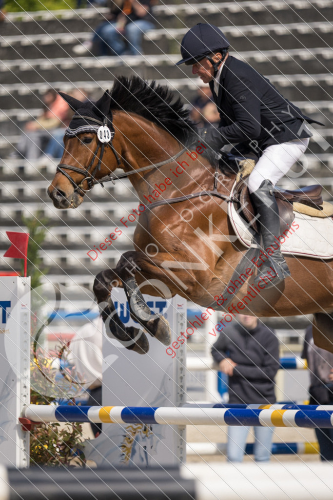 IMG_4335 | Sport-, Event- und Tierfotos in Profiqualität. Einfach auswählen, bestellen und herunterladen. Dein Moment – perfekt festgehalten.