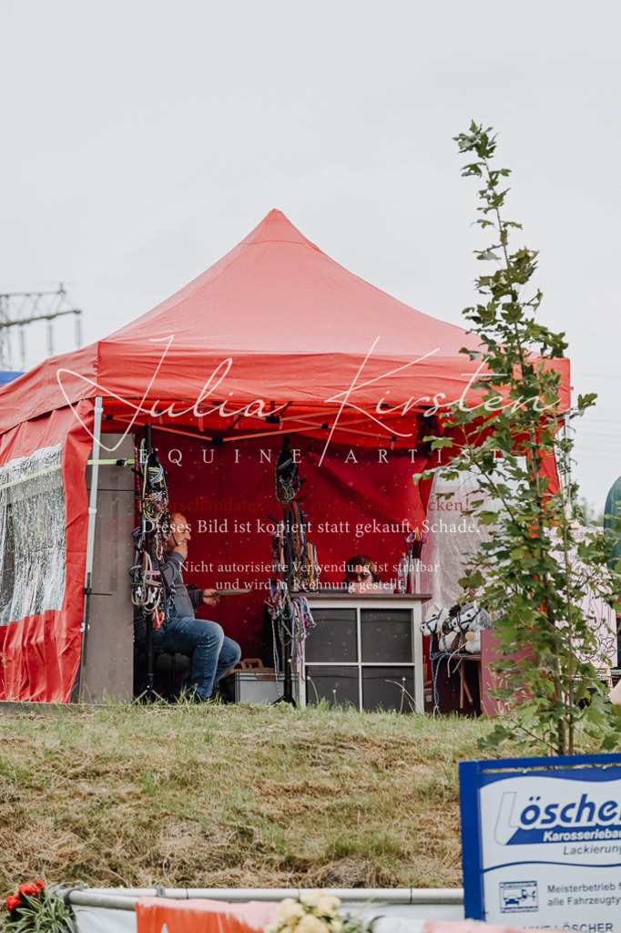 DSC_7021 | Pferde- und Turnierfotografie in Westsachsen. Pferdeportraits, Auftragszeichnungen und intuitive Kunst.