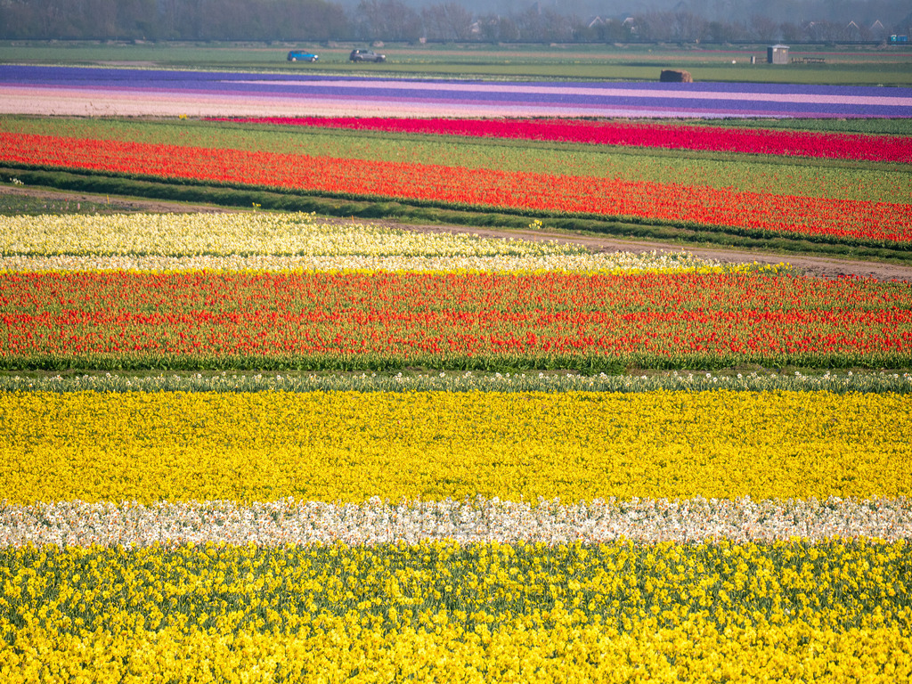 P1011362-LR | Natur im Moment - Realisiert mit Pictrs.com