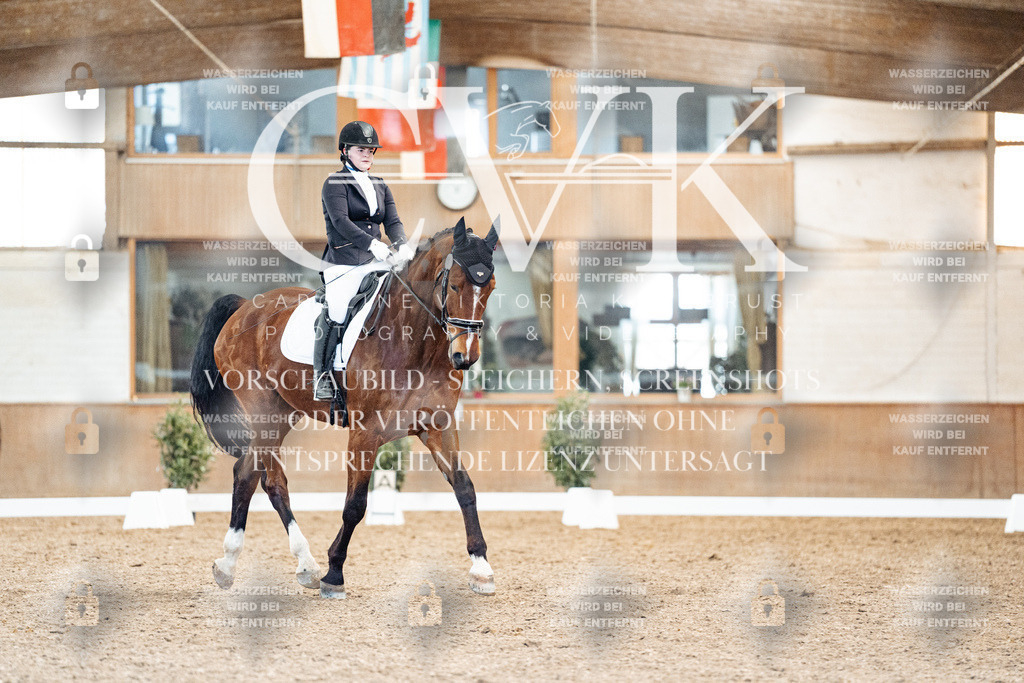 CK909119 | Turnierfotografie Pferdefotografie Trier Rheinland-Pfalz Pferdesport Reitsport Tierfotografie Sportfotografie Pferdevideo Pferdevideografie Equestrianvideography equestrianphotography  - Realisiert mit Pictrs.com