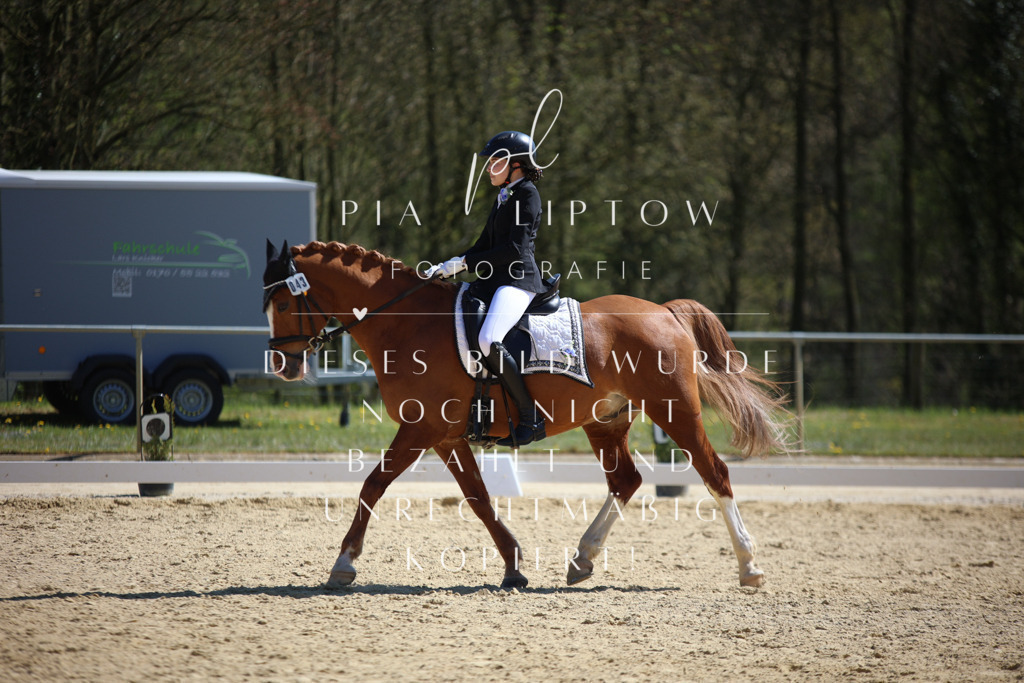 IMGT1558 | pl-fotografie