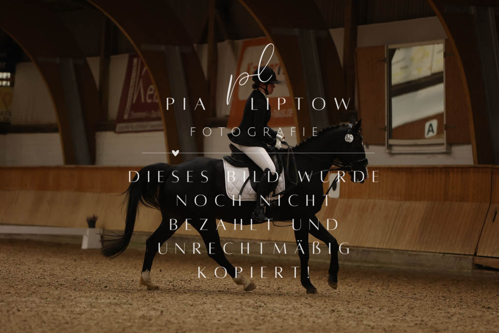 IMGM8736 | pl-fotografie