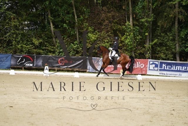 VAN02178 | Marie Giesen Fotografie - Realisiert mit Pictrs.com