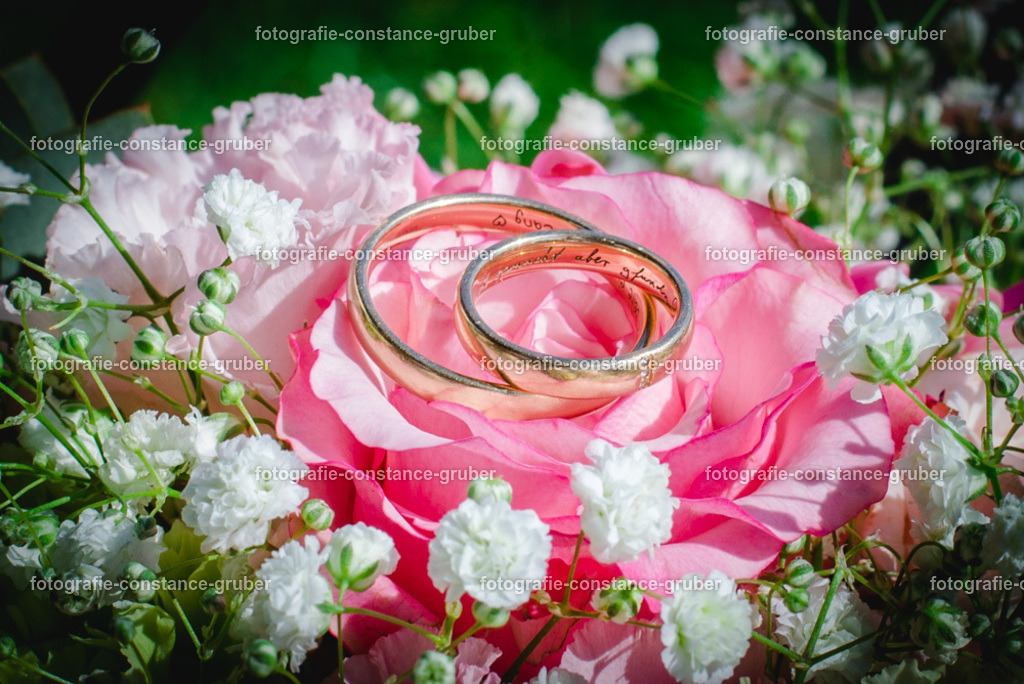 1015 | Fotografie Constance Gruber - Realisiert mit Pictrs.com