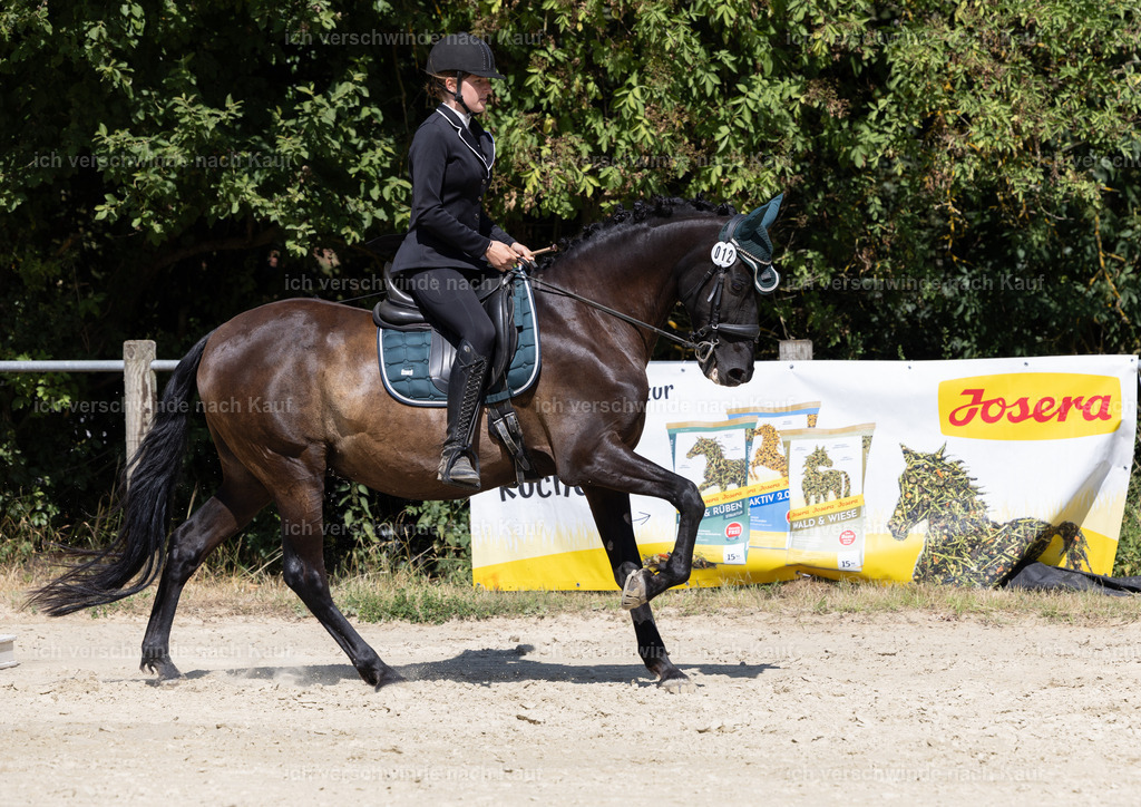 WA_Trail_12_KerstinBernhardt-3 | working equitationturnier fotograf videograf stoibphotography marixx film working equitation deutschland reitsport turnierfotografie eventfotografie equestrian events