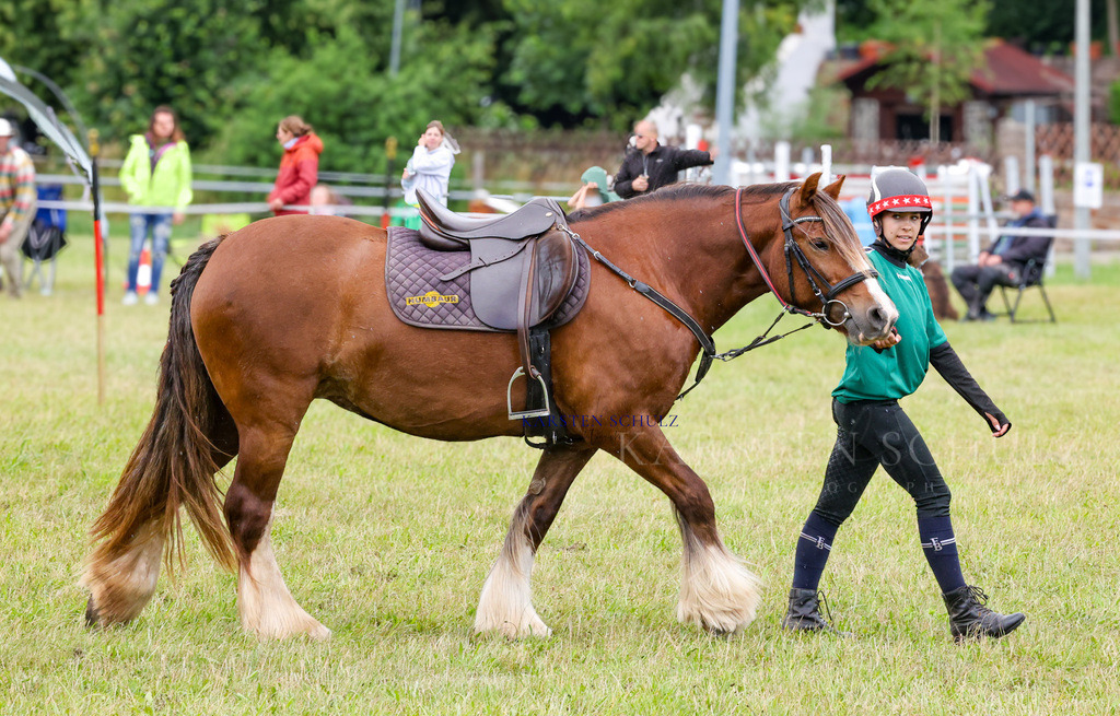 1B3A2762 | Reitsport Reiten