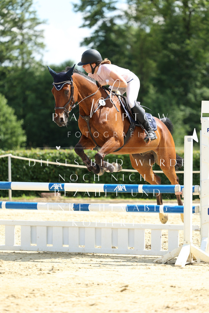 IMGM2782 | pl-fotografie