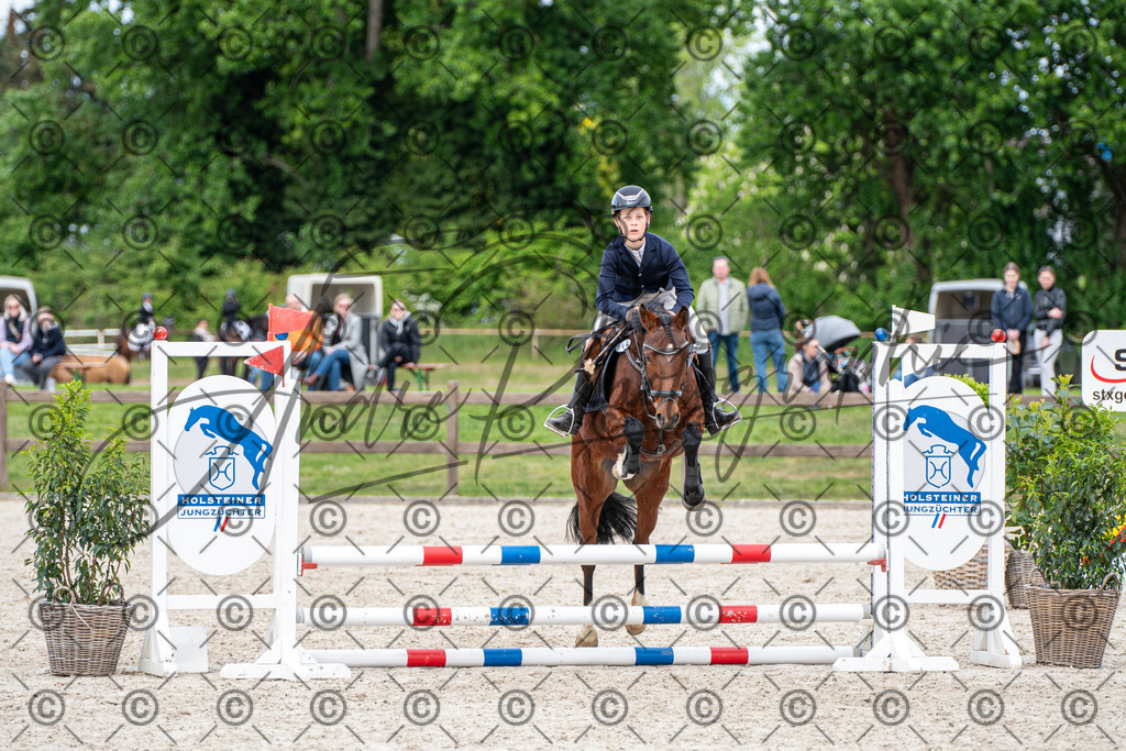 KPT_6281 | andre_photographic