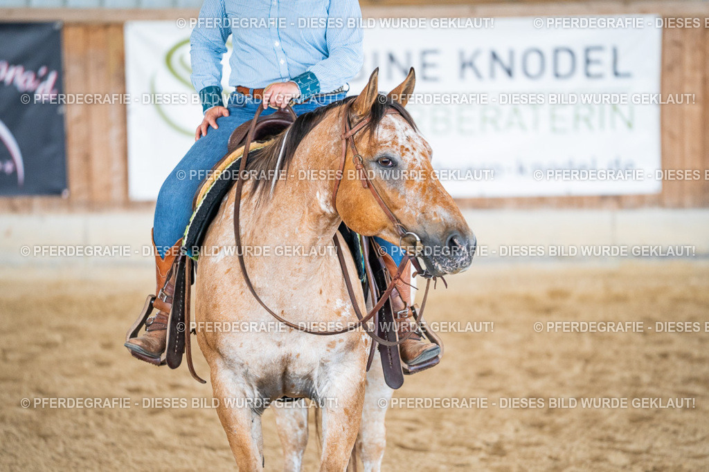 DSC03792 | Pferdegrafie