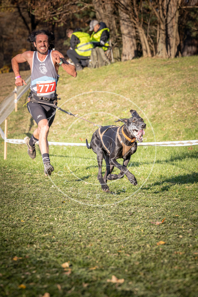 CaniXpix_0L8A0102 | Hundefotografie, Tierfotograf, Pfotenfotografie, Fotoshooting Hund, Hunde Portrait, Hundesport, Hundeportraits, Heideshooting, Hunde, Sportfotograf, Hundefotograf, Turnierhundsport, THS,  - Realisiert mit Pictrs.com