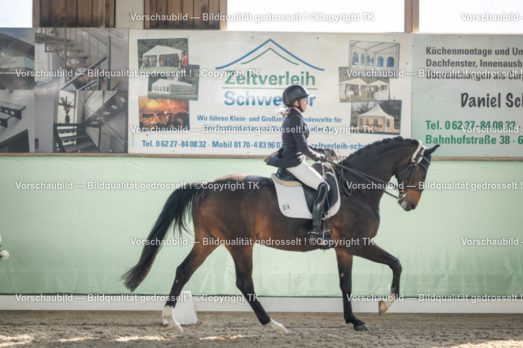 _D5A2804 | Emotionale Pferde- & People-Fotografie rund um Heidelberg, Leimen & Umgebung. Natürliche Fotos von Pferd, Mensch & Familie. Jetzt Termin sichern!