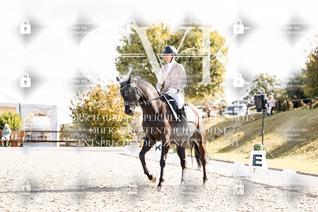 CK901951 | Turnierfotografie Pferdefotografie Trier Rheinland-Pfalz Pferdesport Reitsport Tierfotografie Sportfotografie Pferdevideo Pferdevideografie Equestrianvideography equestrianphotography  - Realisiert mit Pictrs.com