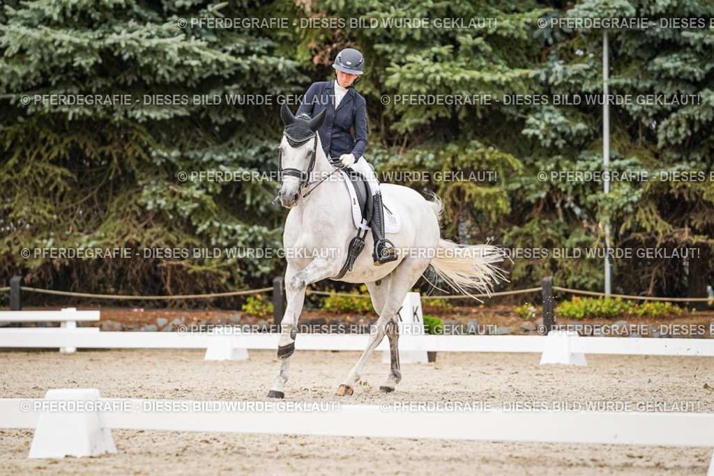 DSC07779 | Pferdegrafie