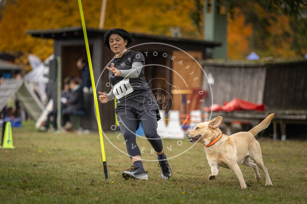 Pfotenfotografie_DV3A6797 | Hundefotografie, Tierfotograf, Pfotenfotografie, Fotoshooting Hund, Hunde Portrait, Hundesport, Hundeportraits, Heideshooting, Hunde, Sportfotograf, Hundefotograf, Turnierhundsport, THS,  - Realisiert mit Pictrs.com