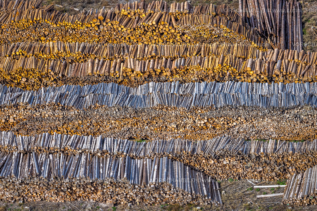 Bestwig220902083 | Luftbild, Waldschäden, Waldsterben, Holzstapel, Baumstämme, Formen und Farben, Ostwig, Bestwig, Ruhrgebiet, Nordrhein-Westfalen, Deutschland