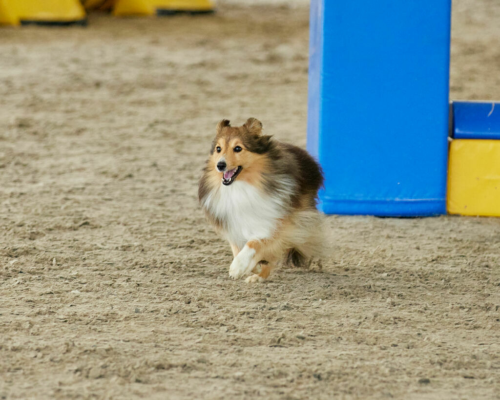 580B0116 | Peter Fridle Fotografie - Realisiert mit Pictrs.com