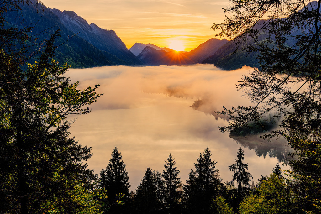 Weitsee Nebel | ap-design // andreas plenk - Realisiert mit Pictrs.com