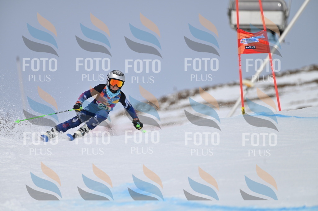 BGV_4317 | holidayphoto