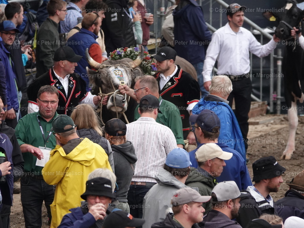 DSC07662 | Schwingen - Realisiert mit Pictrs.com