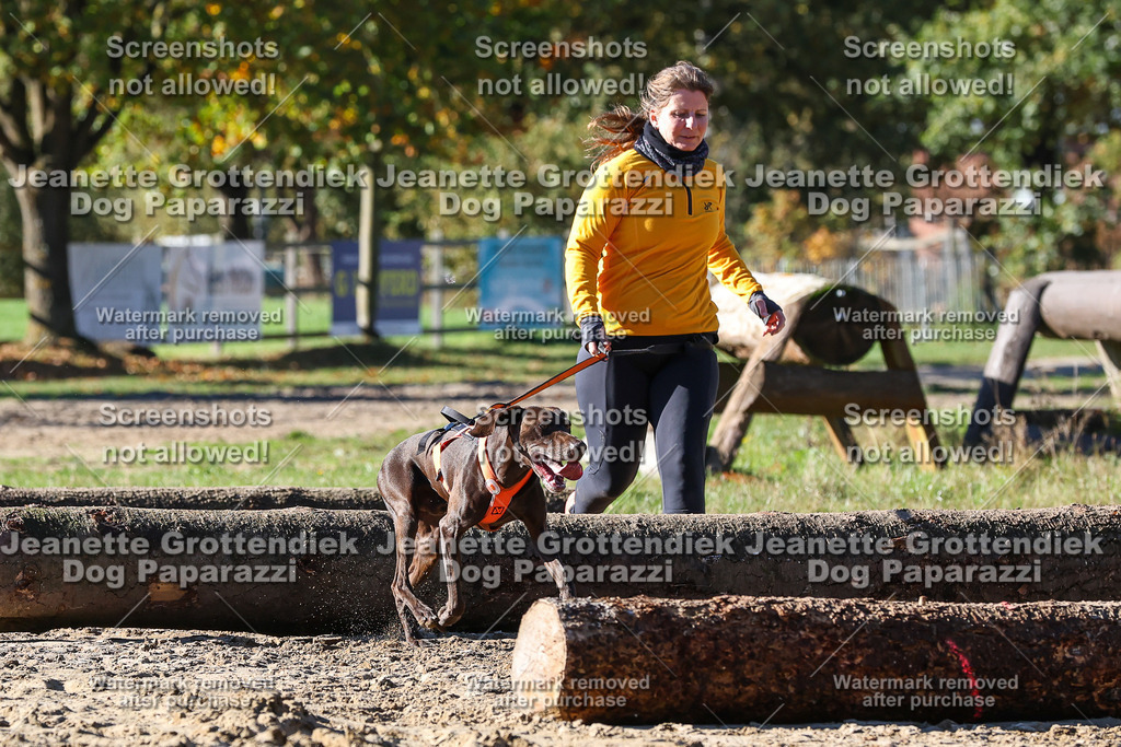Dog Paparazzi - Strongdog 10-25-2284 | Dog Paparazzi Jeanette Grottendiek Fotografie & Videografie - Realisiert mit Pictrs.com
