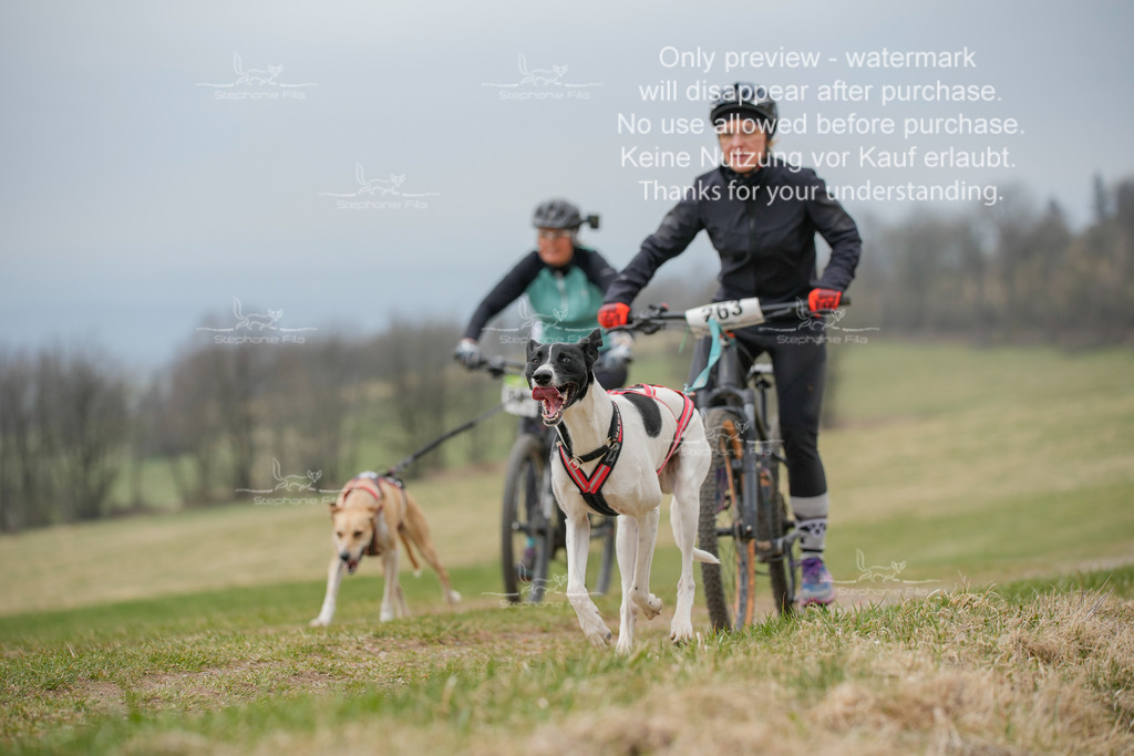 BikeSA-360 | stephaniefillaphotographie - Realisiert mit Pictrs.com