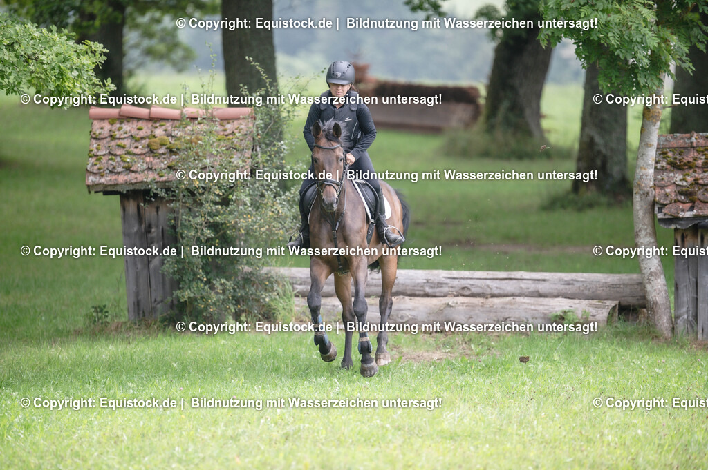 20250726_Vielseitigkeitslehrgang-Marbach_0374 | Foto: Thomas Hartig