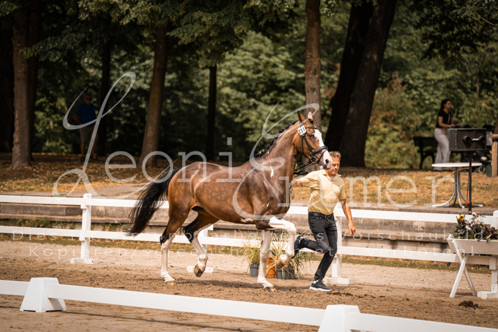 3.Fr00166 | Leoni Ertmer Photography - Realisiert mit Pictrs.com