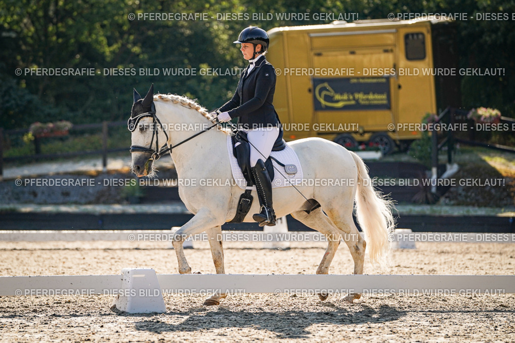 DSC08628 | Pferdegrafie