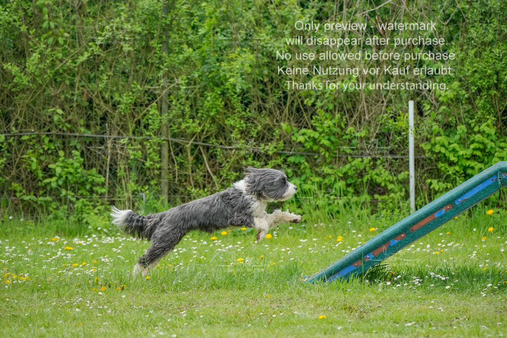 Sa_Laeufe_VK1und2_06-39 | stephaniefillaphotographie - Realisiert mit Pictrs.com