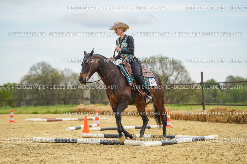 DSC03193 | Pferdegrafie