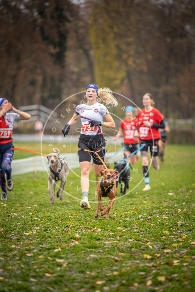 CaniXpix_DV3A9337 | Hundefotografie, Tierfotograf, Pfotenfotografie, Fotoshooting Hund, Hunde Portrait, Hundesport, Hundeportraits, Heideshooting, Hunde, Sportfotograf, Hundefotograf, Turnierhundsport, THS,  - Realisiert mit Pictrs.com