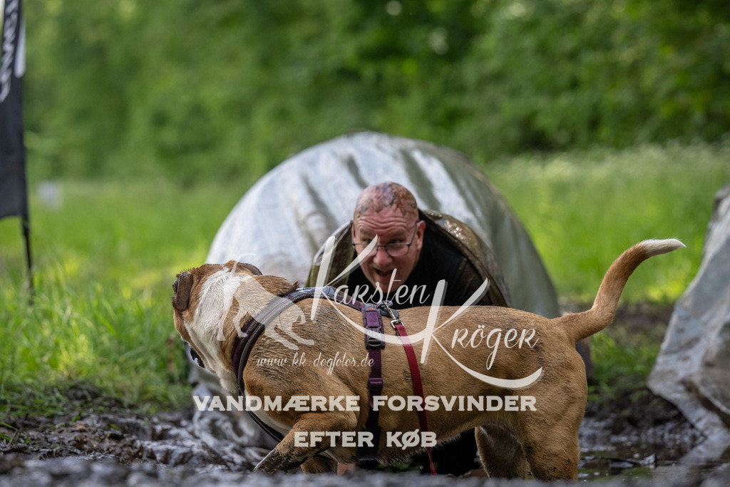 1302_ZZ94790 | kk-dogfotos