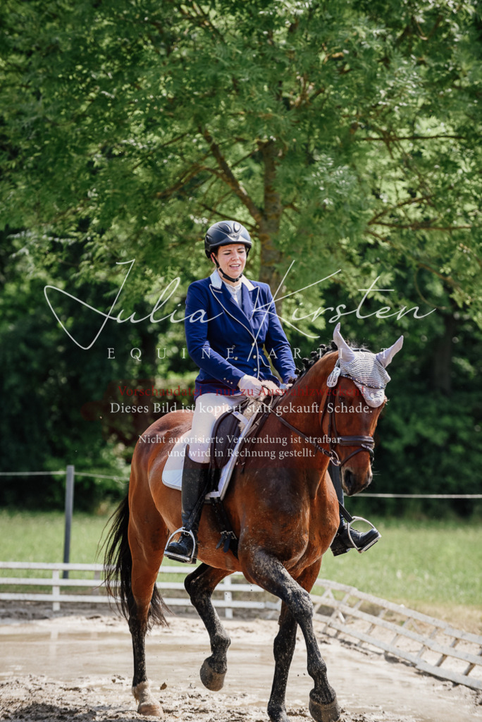 DSC_1177 | Pferde- und Turnierfotografie in Westsachsen. Pferdeportraits, Auftragszeichnungen und intuitive Kunst.