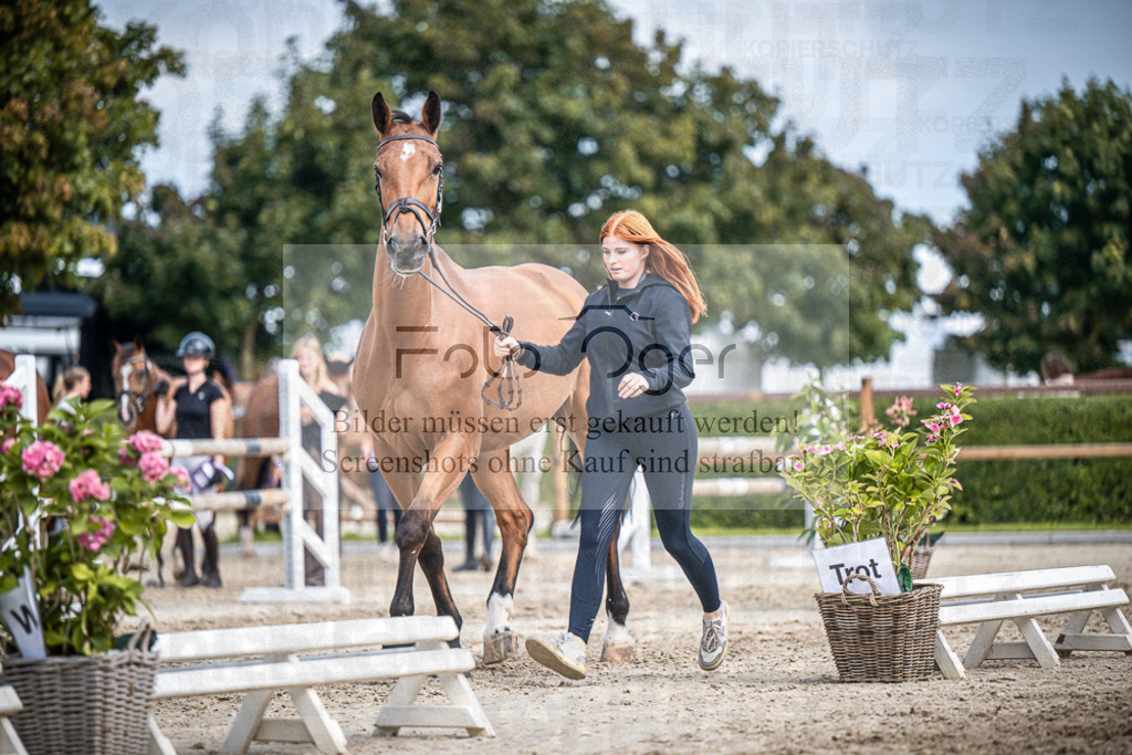 DOS_1938 | Entdecke hochwertige Reitturnierfotos von Foto Oger. Professionell, emotional und authentisch – jetzt Lieblingsmomente im Shop bestellen.Deutschlandweite Turnierfotografie. - Realisiert mit Pictrs.com