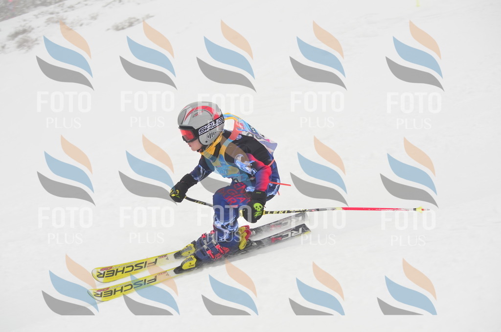 C1438 | holidayphoto