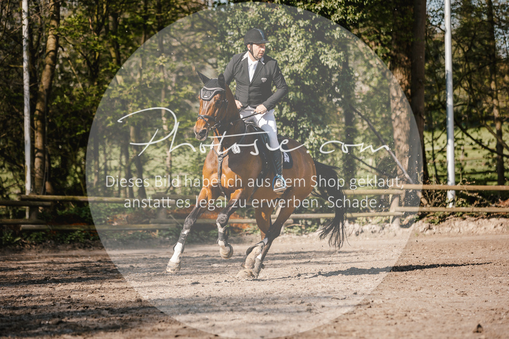 3I6A3675 | Stimmungsvolle Portraits und Reitsportfotografie im Ruhrgebiet und im Münsterland.

Pferdefotografie, Hundefotografie, Tierfotografie, Reportagen, Portraits von Tier und Mensch, Turnierfotografie in Bochum, Recklinghausen, Marl, Haltern am See, Dülmen.. - Realisiert mit Pictrs.com
