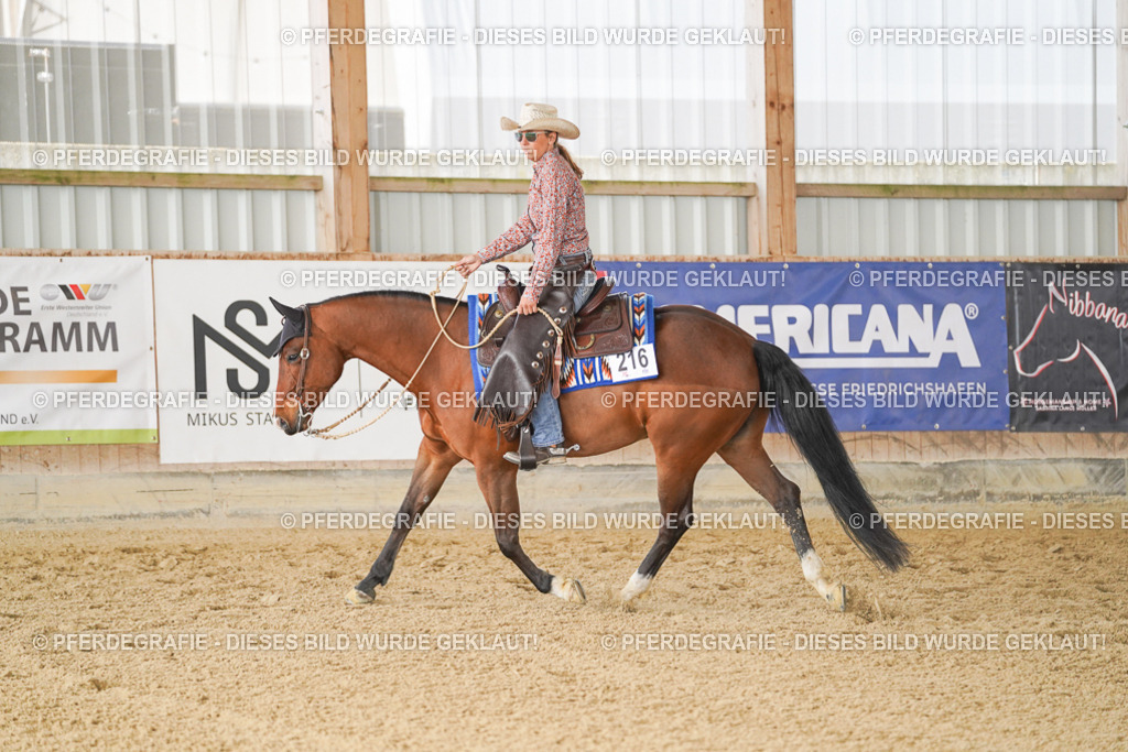 DSC01065 | Pferdegrafie