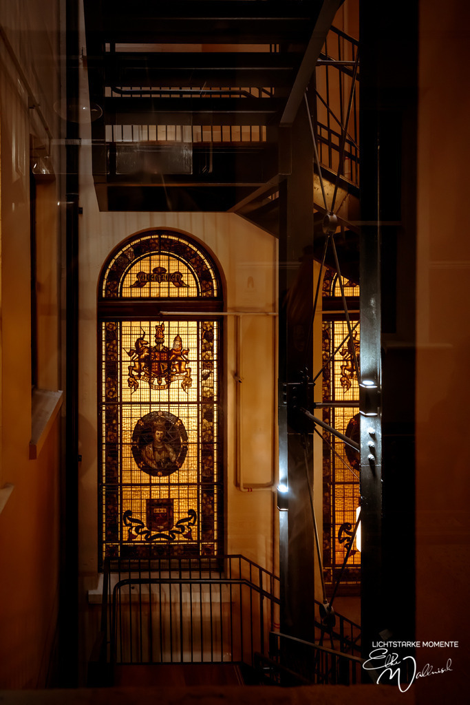 20230927-110704 SOUTHAFRIKA_-1 | Herzlich willkommen auf meiner Seite! Ich bin Elke Wallnisch, Deine Fotografin für lichtstarke Momente. Der Name steht für alles, was mich mit der Fotografie verbindet: Das Licht und seine machtvolle Wirkung auf eine Situation oder unsere Stimmung - Realisiert mit Pictrs.com