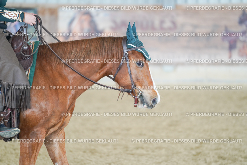 DSC03804 | Pferdegrafie