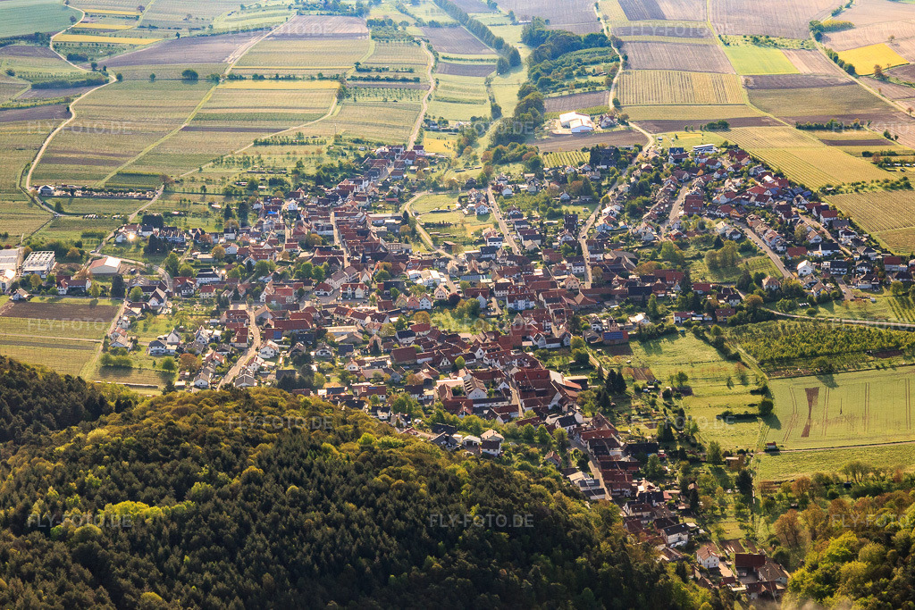 Luftbild: Ortsansicht aus Westen in Oberotterbach im Bundesland Rheinland-Pfalz in Deutschland. Foto: IMG_113783.jpg vom 29.04.2019 durch Werner Riehm/FLY-FOTO.de