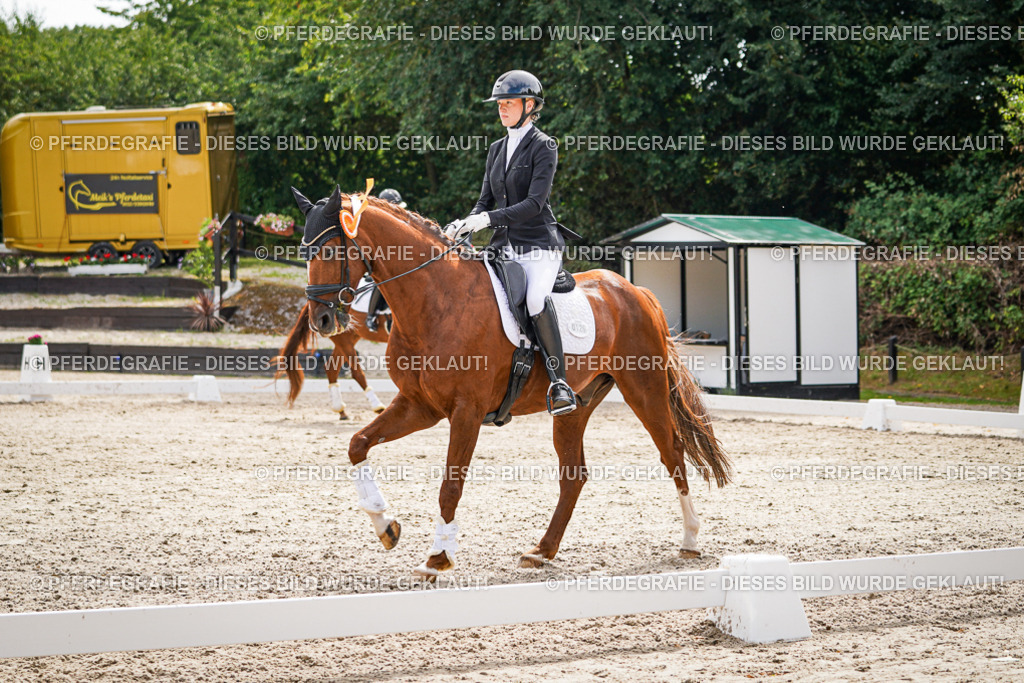 DSC02434 | Pferdegrafie