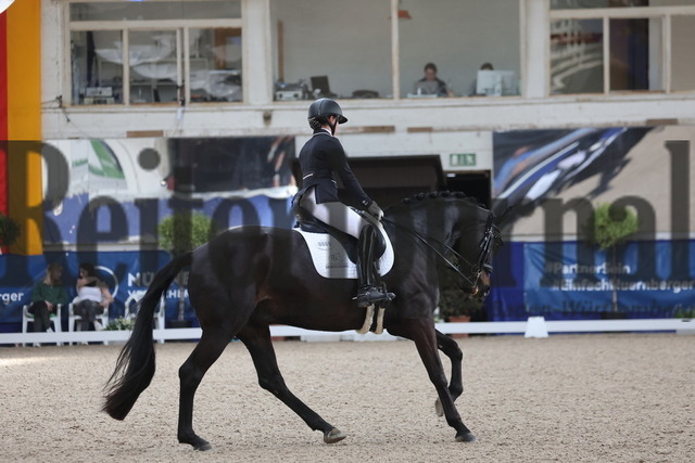 Pforzheim_2024_Prfg.Nr.12_Dressurreiterprfg.Kl.M_Nürnberger-Burgpokal_Leonie Röhrle_Firemark JS (15) | Alle Fotos der Reiterjournal Fotografin Doris Matthaes im Reiterjournal Online-Fotoshop. - Realisiert mit Pictrs.com