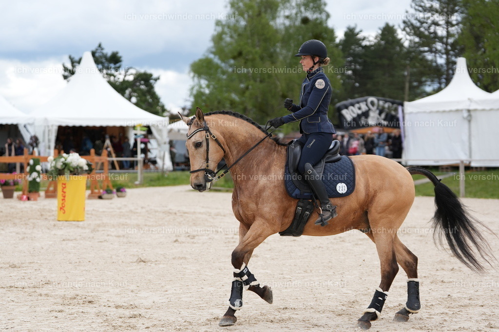 PI26_ST_Jan_Picutures7C_07204.JPG | working equitationturnier fotograf videograf stoibphotography marixx film working equitation deutschland reitsport turnierfotografie eventfotografie equestrian events